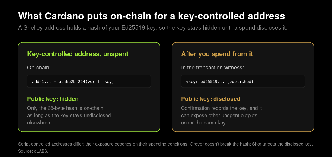 cardano-key-hidden-vs-disclosed.png