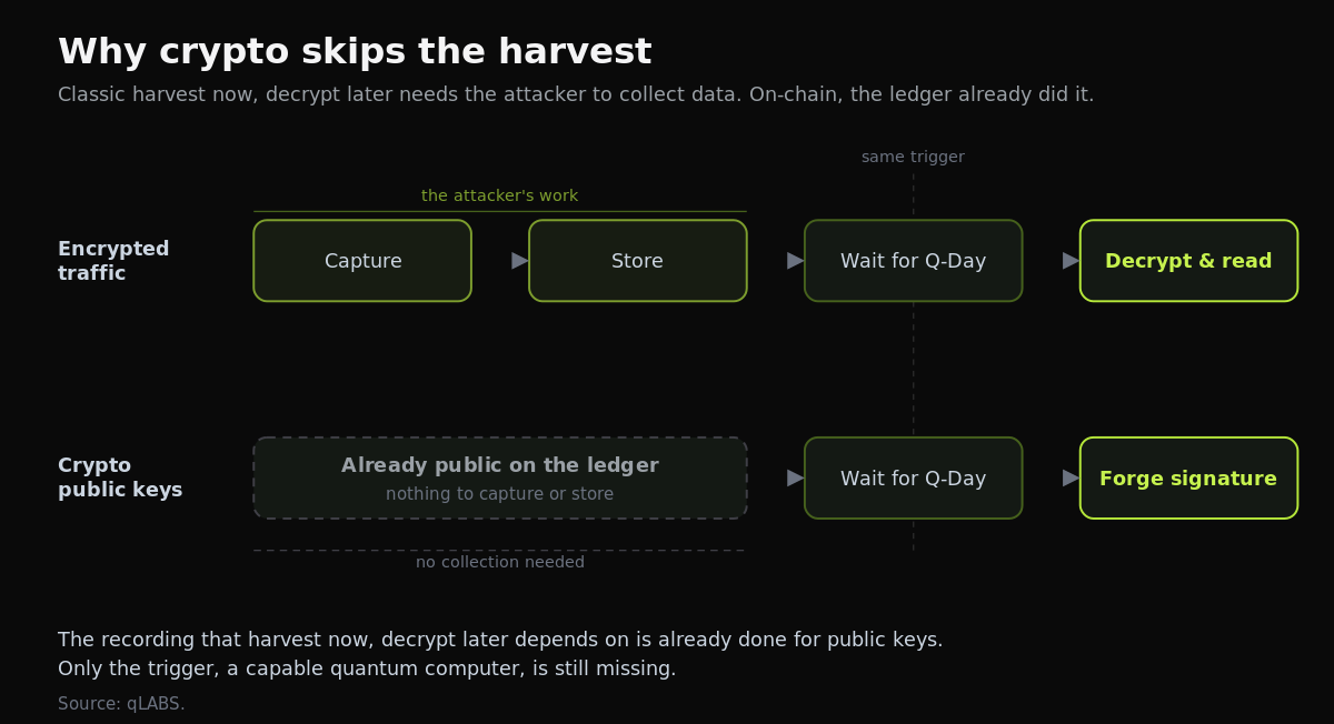 harvest-two-paths.png