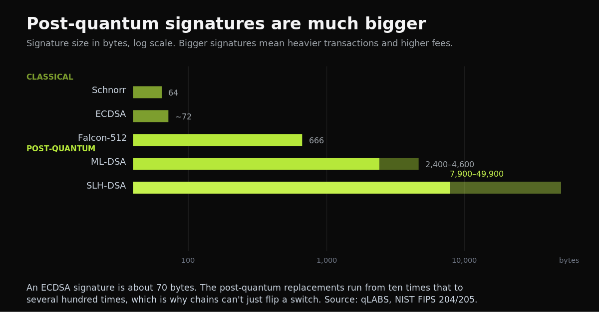 pqc-signature-sizes.png